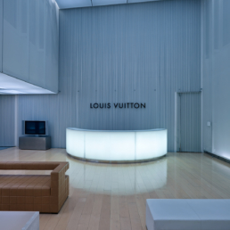Louis Vuitton Japan Building